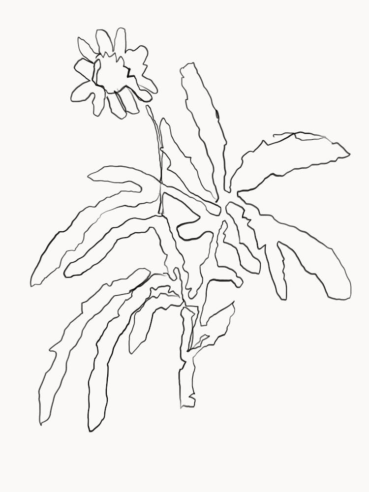 Flower Scribble
