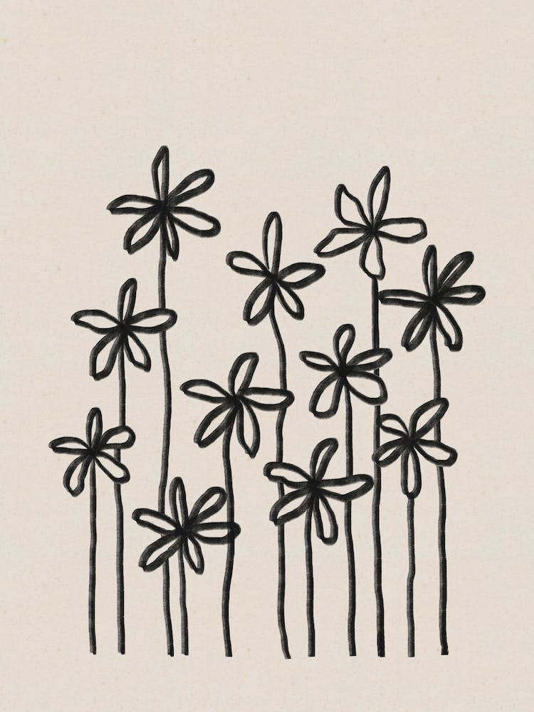 A Field Of Flowers