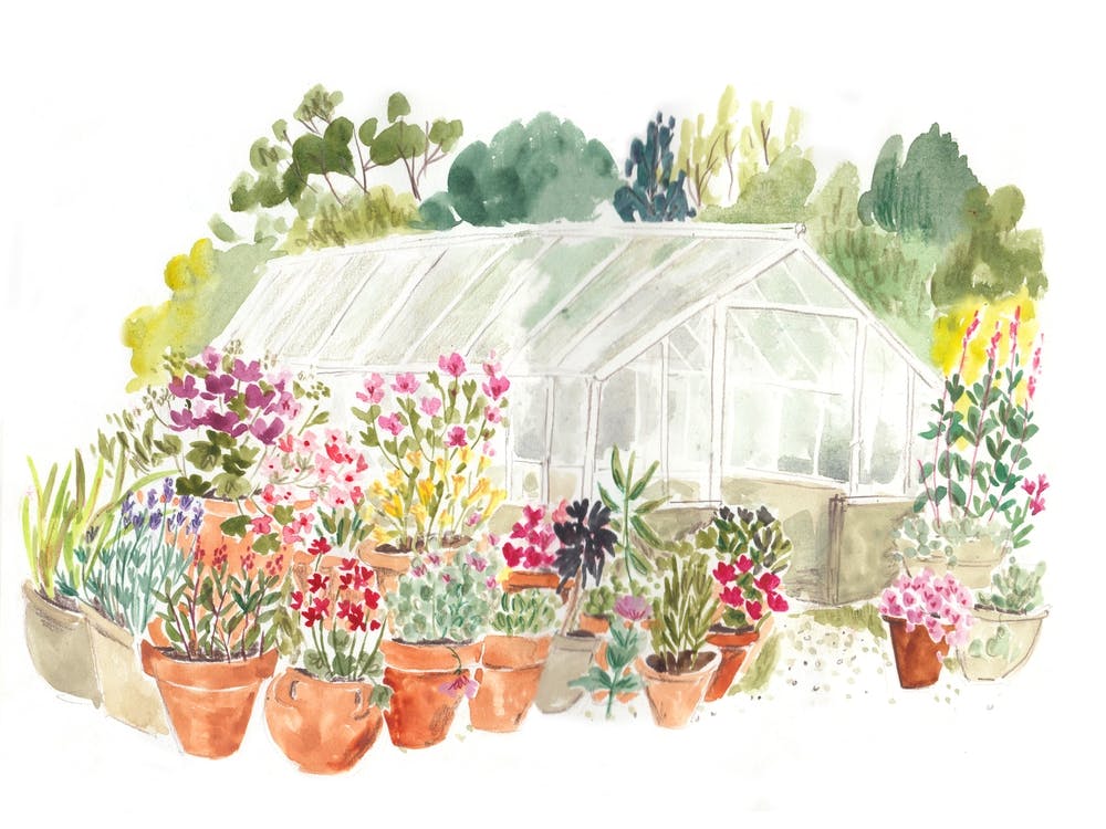 Greenhouse