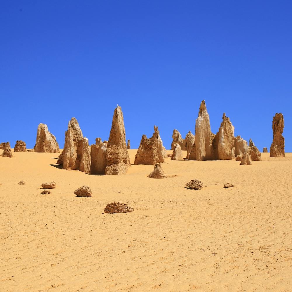 Pinnacles sableux et ciel bleu en Australie Occidentale