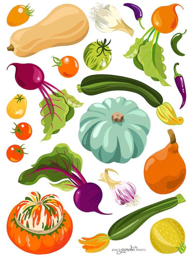 Mixed Veggies