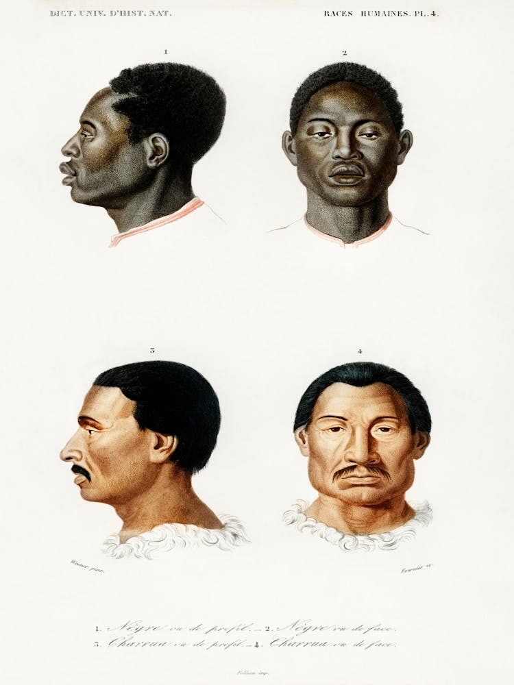 Human Race, Charles Dessalines D' Orbigny