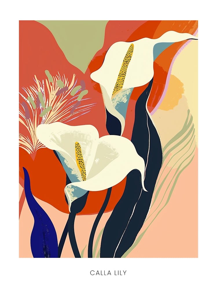 Colourful Flower Illustration Poster Calla Lily 4
