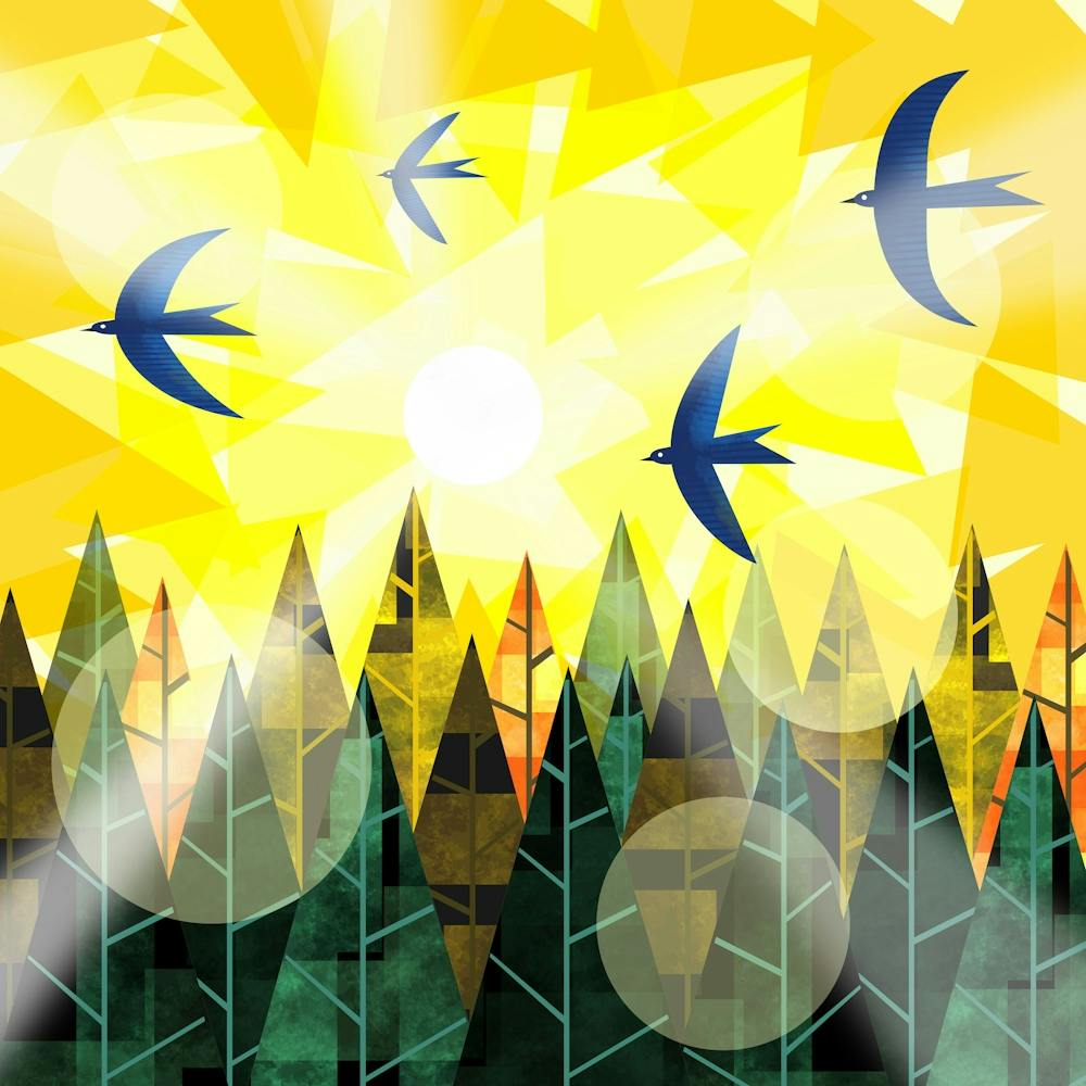 Sunrise Over Forest