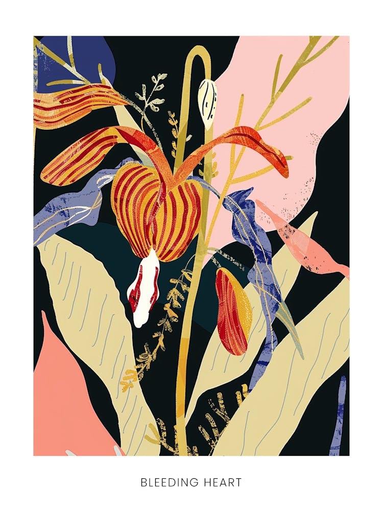 Colourful Flower Illustration Poster Bleeding Heart 3