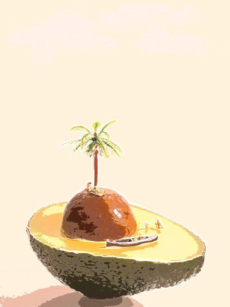 Avocado Island