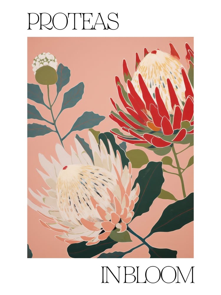 Proteas In Bloom Flowers Bold Illustration 2