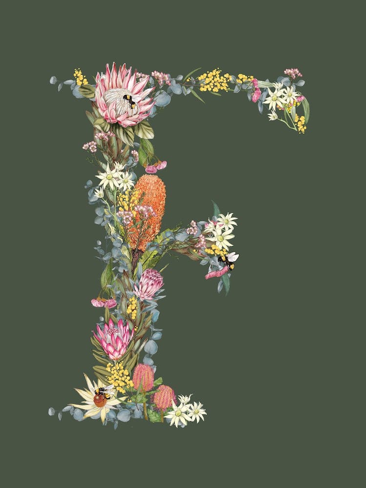 F Olive Alphabet Letter