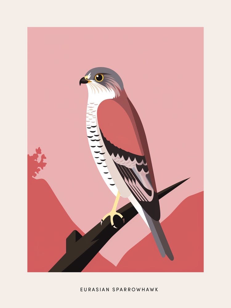 Minimalist Eurasian Sparrowhawk 3 Bird Poster
