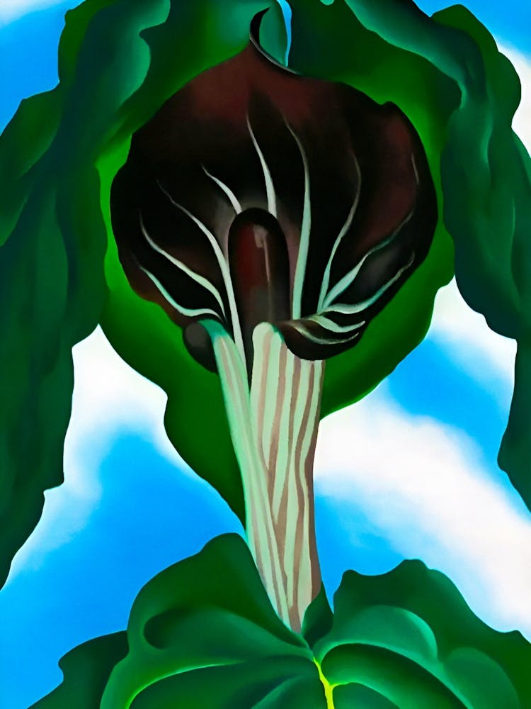 Georgia O'Keeffe - Jack-in-the-Pulpit No. 3
