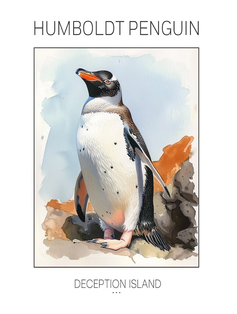 Humboldt Penguin Deception Island Watercolour Painting 1 Poster