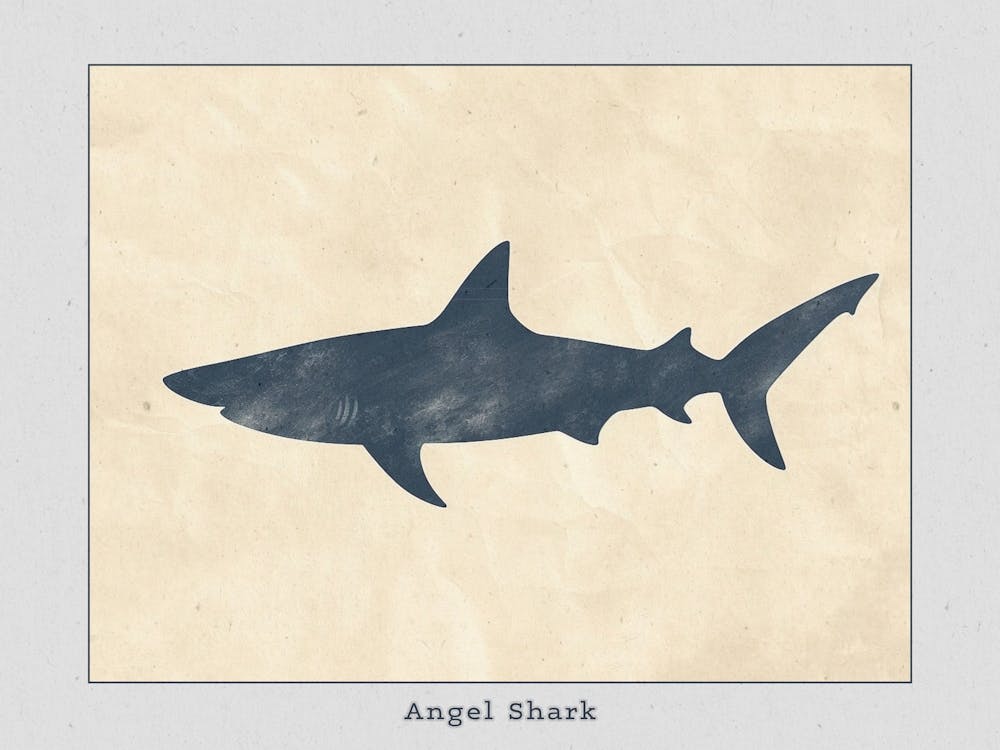 Angel Shark Silhouette 1 Poster