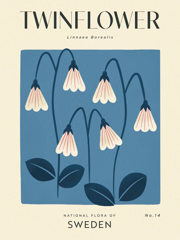 Vintage Blue And White Twin Flower Of Sweden