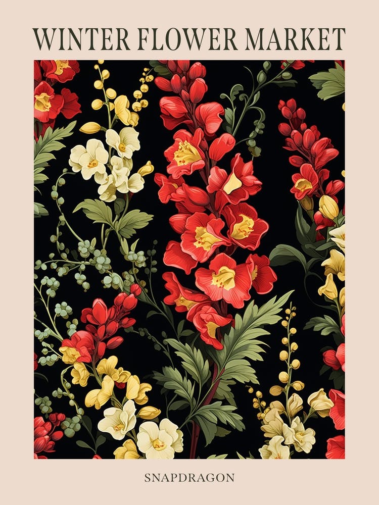 Snapdragon 2 Winter Flower Market Poster