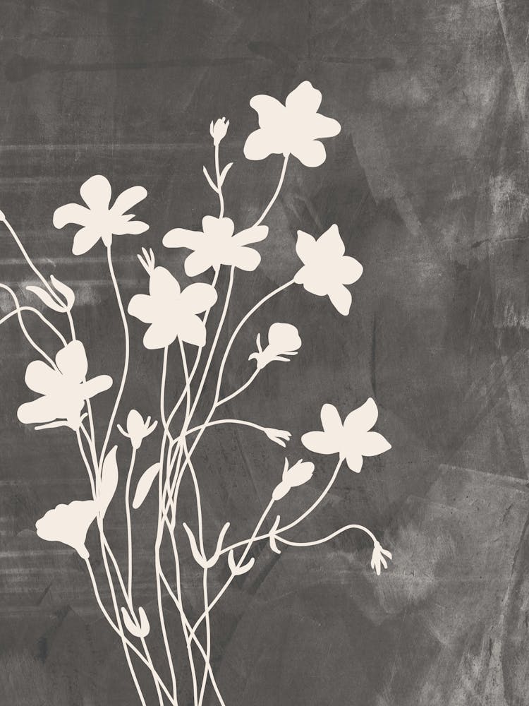 Wildflowers In Gray, Minimalist Botanical