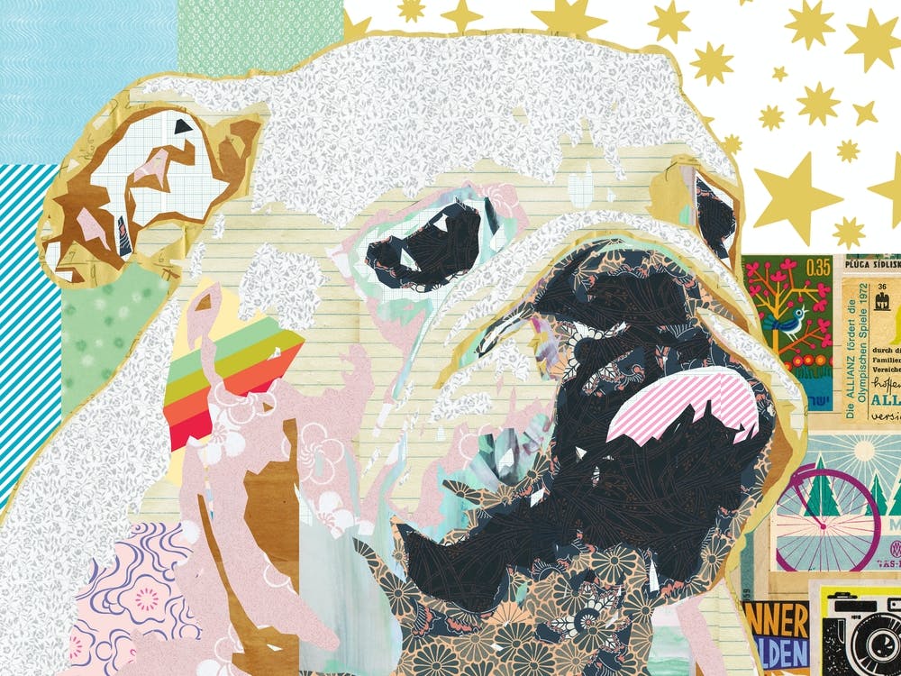Bulldog Popart Collage