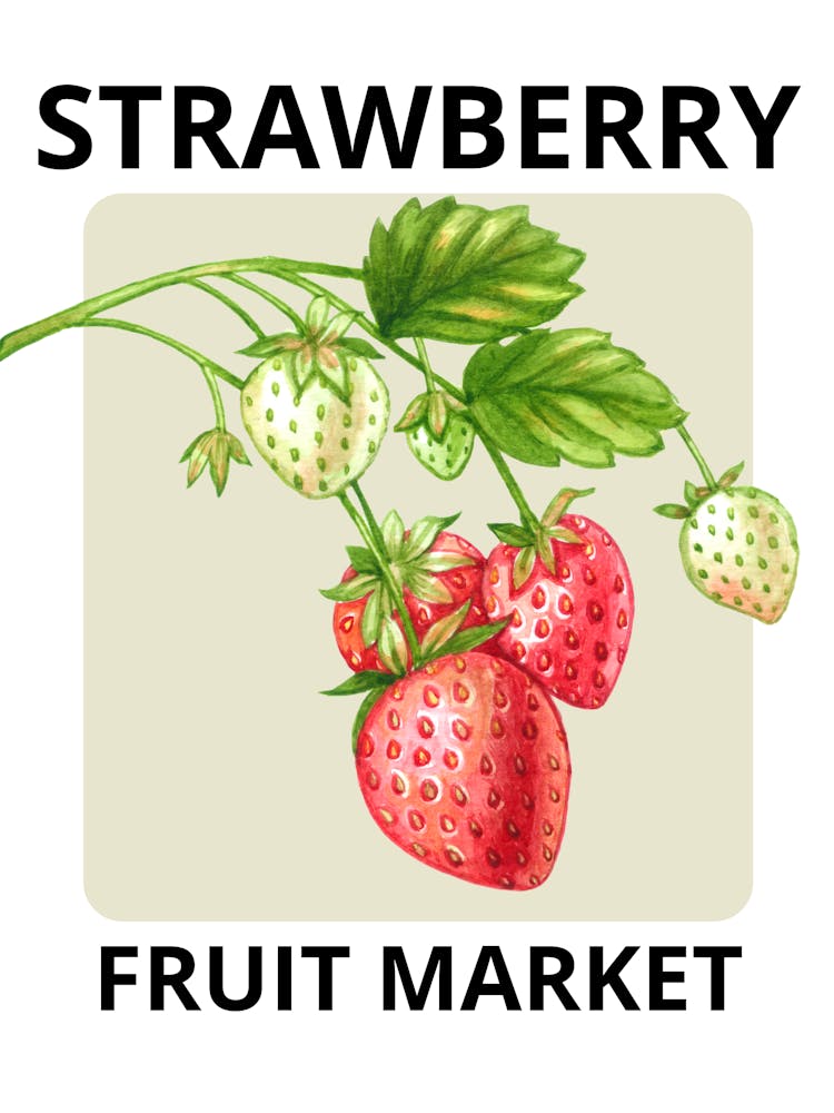 Strawberry Fruit Market