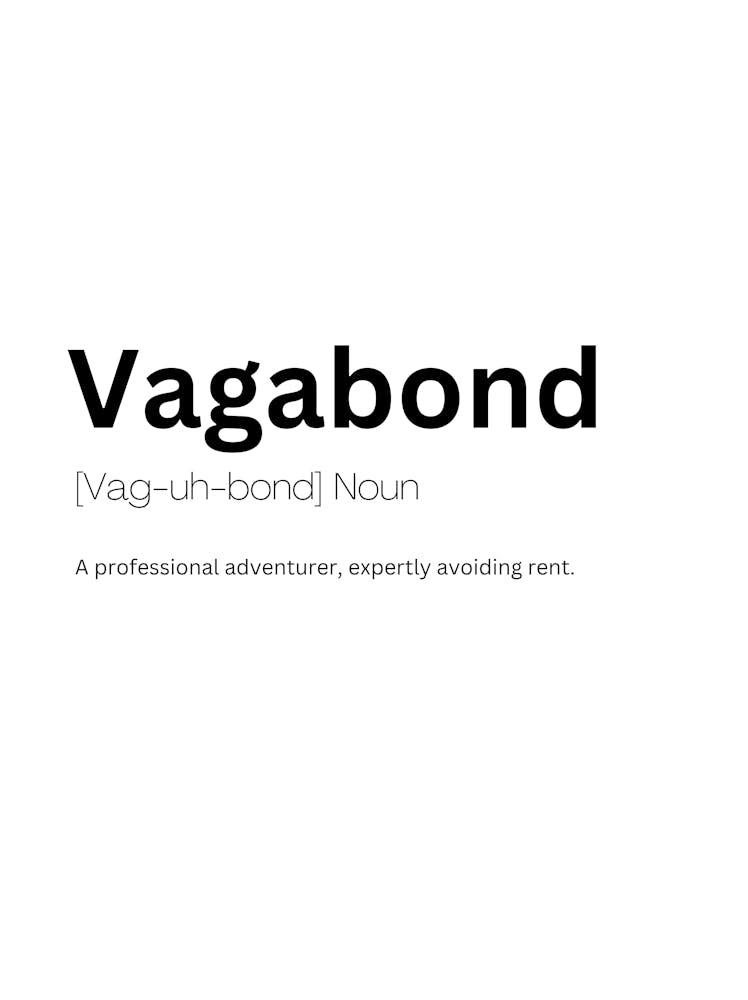 Vagabond Definition Meaning