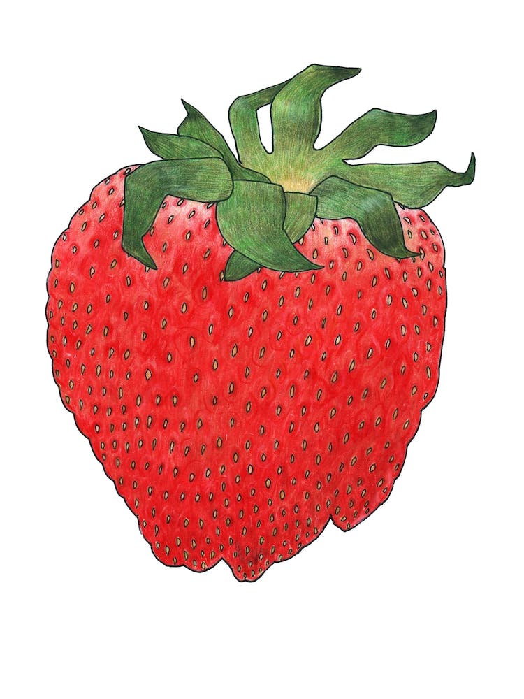 Strawberry 4