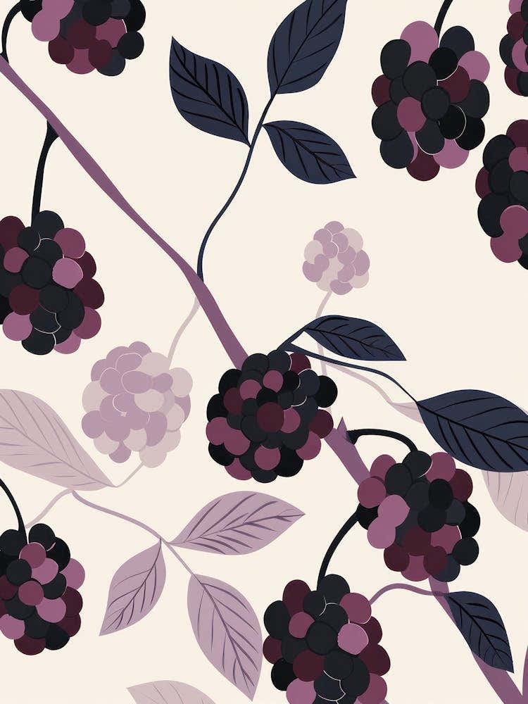 Blackberries Close Up Illustration 2