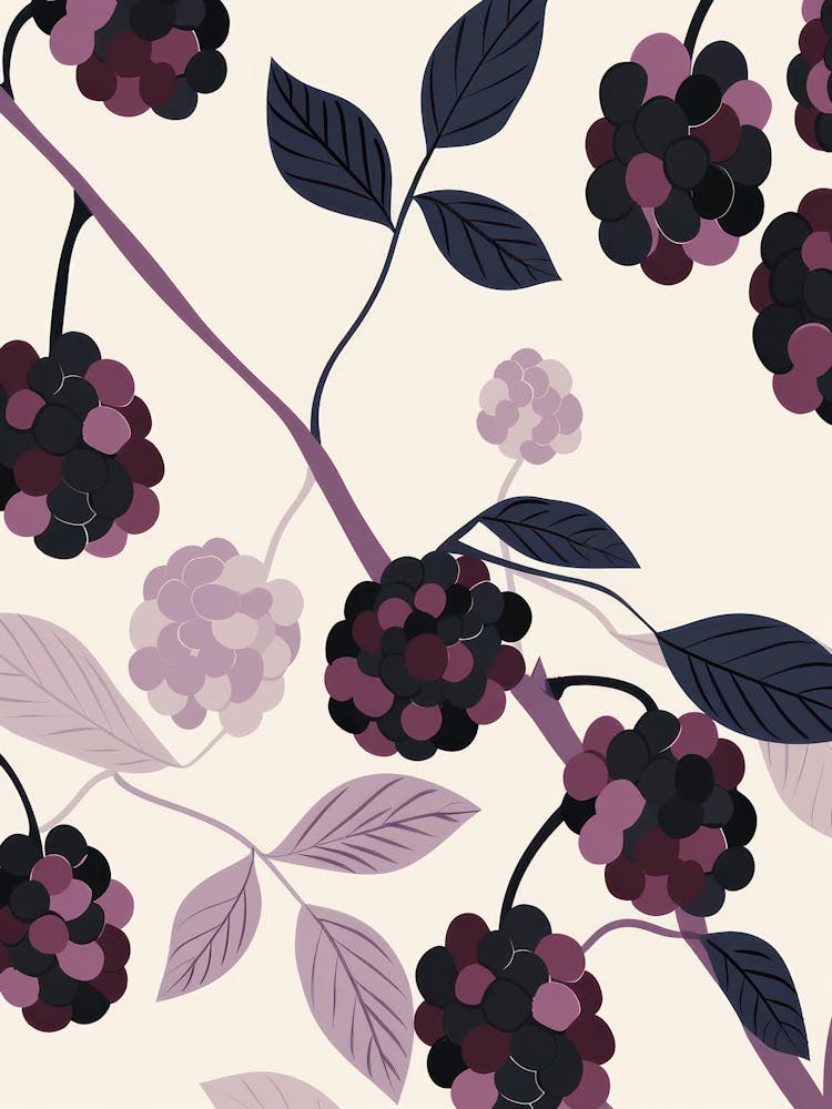 Blackberries Close Up Illustration 2