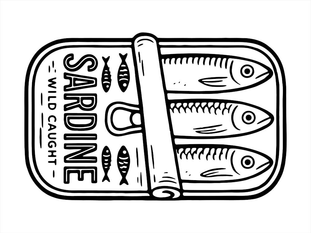 Sardine 2
