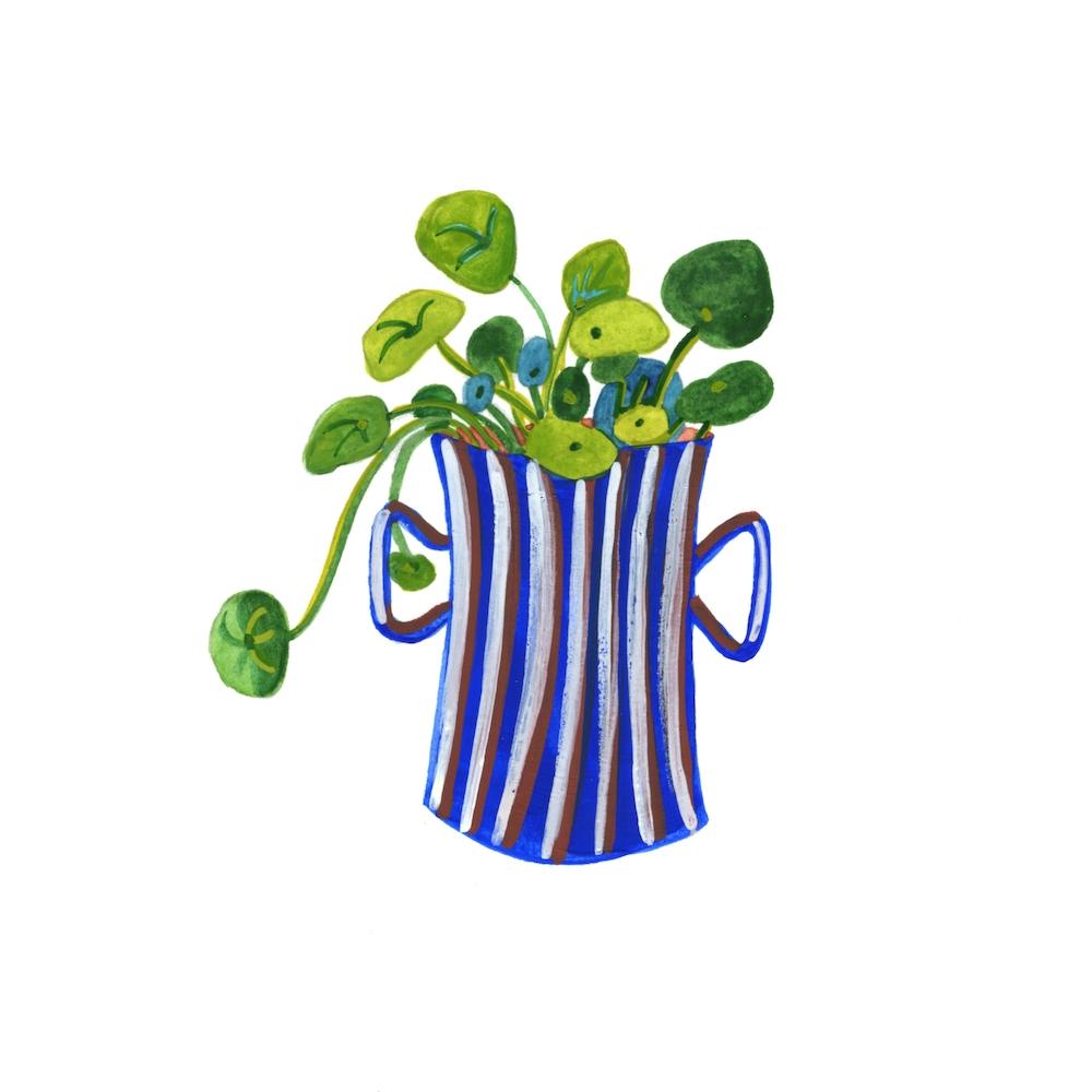 Missionary Plant Square