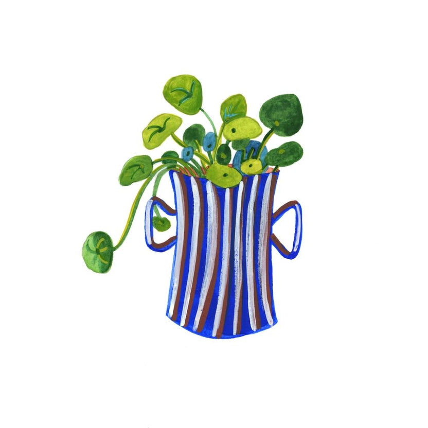 Missionary Plant Square