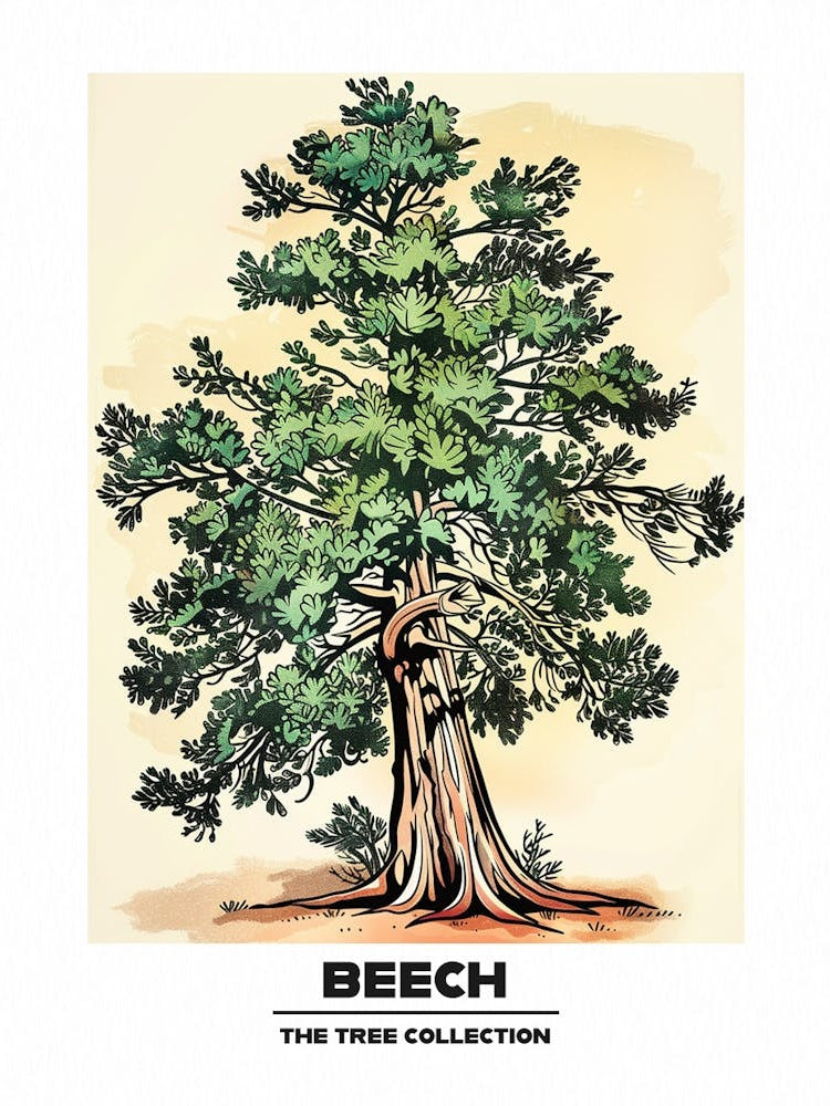 Beech Tree Storybook Illustration 1 Poster