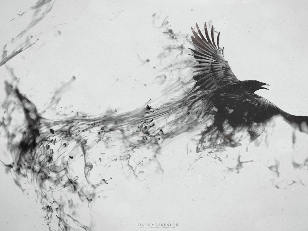 Crow abstract
