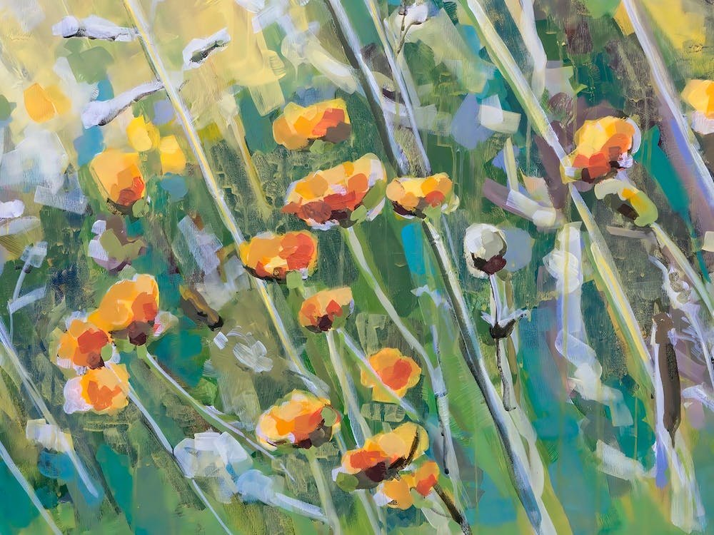 Yellow wild meadow flowers