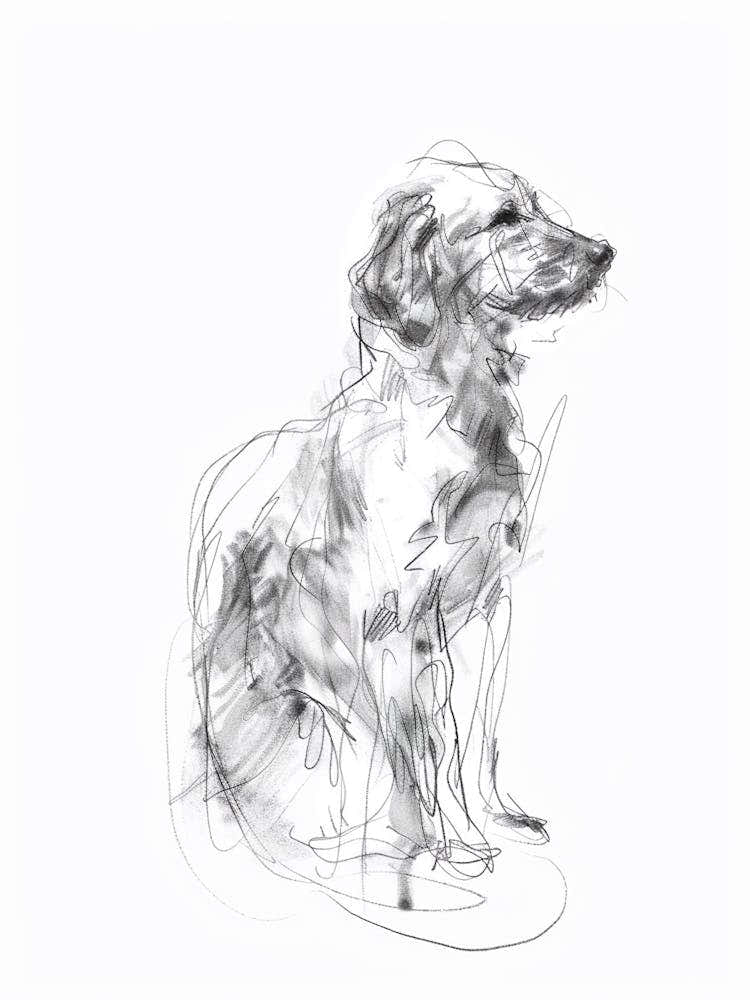 Kuvasz Dog Charcoal Line 3