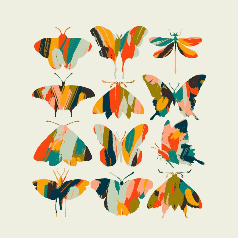 Colorful Butterflies Square