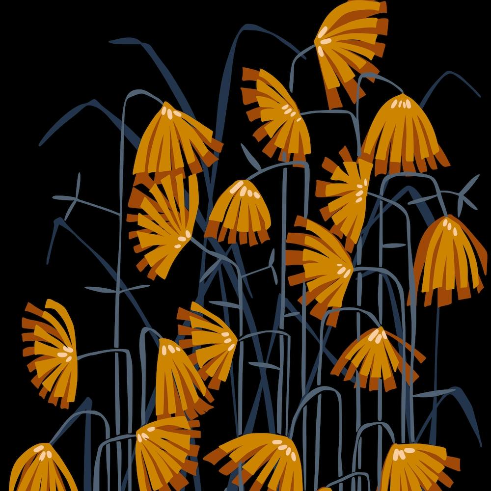 Linocut Flower Meadow Mustard Black Square