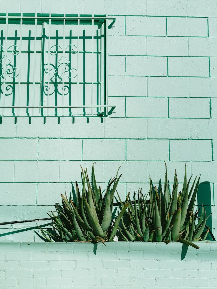 Silver Lake Los Angeles