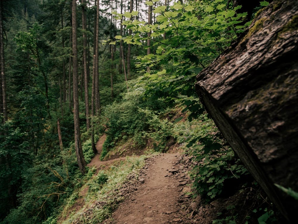 Happy Trails II