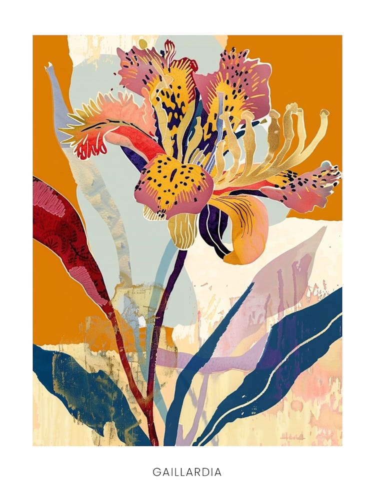 Colourful Flower Illustration Poster Gaillardia 3