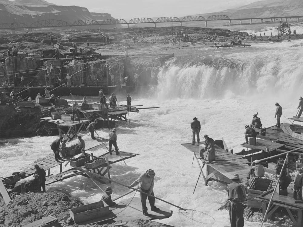 Indians Fishing For Salmon At Celilo Falls, Oregon By Russell Lee