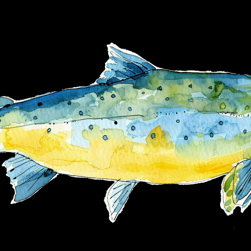 Salmon 1