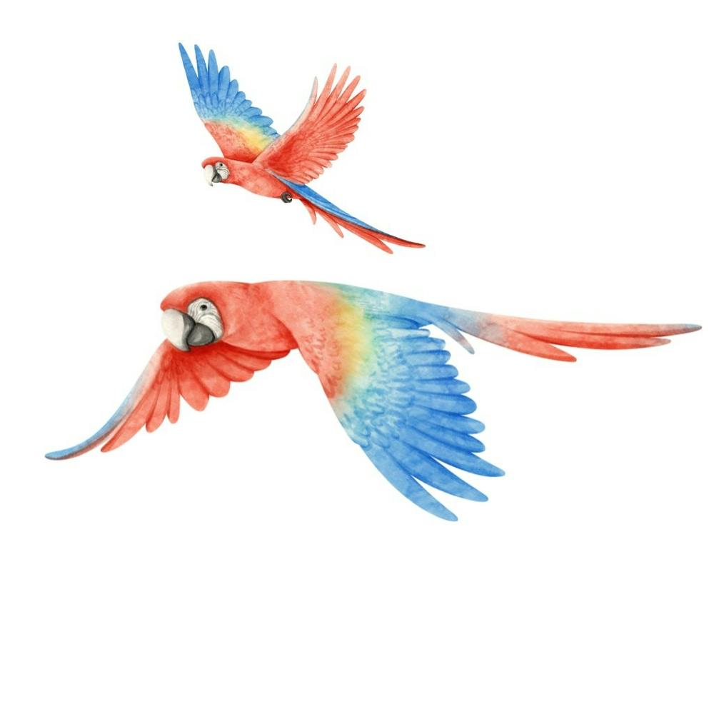 Parrots In Flight