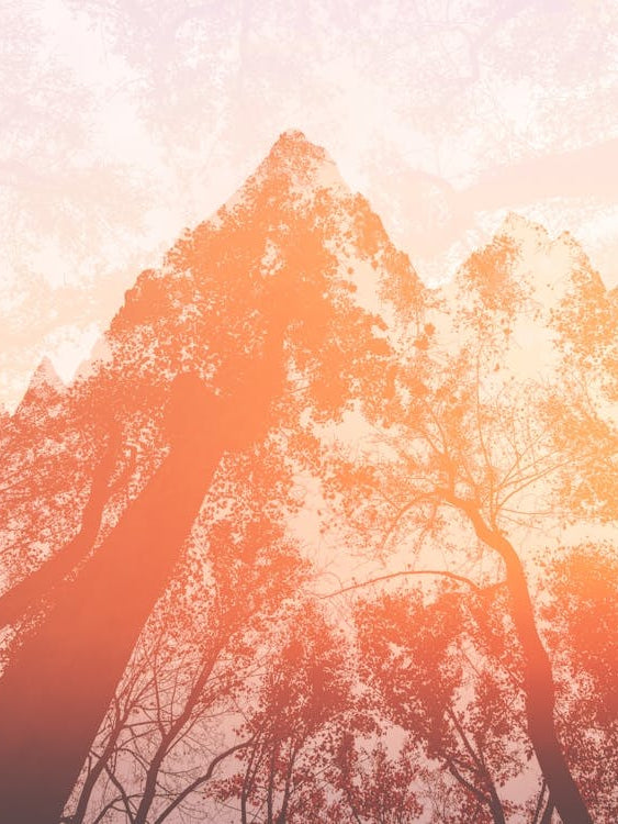 Sunrise In The Mountains - Teton Aspen Autumn Dreams