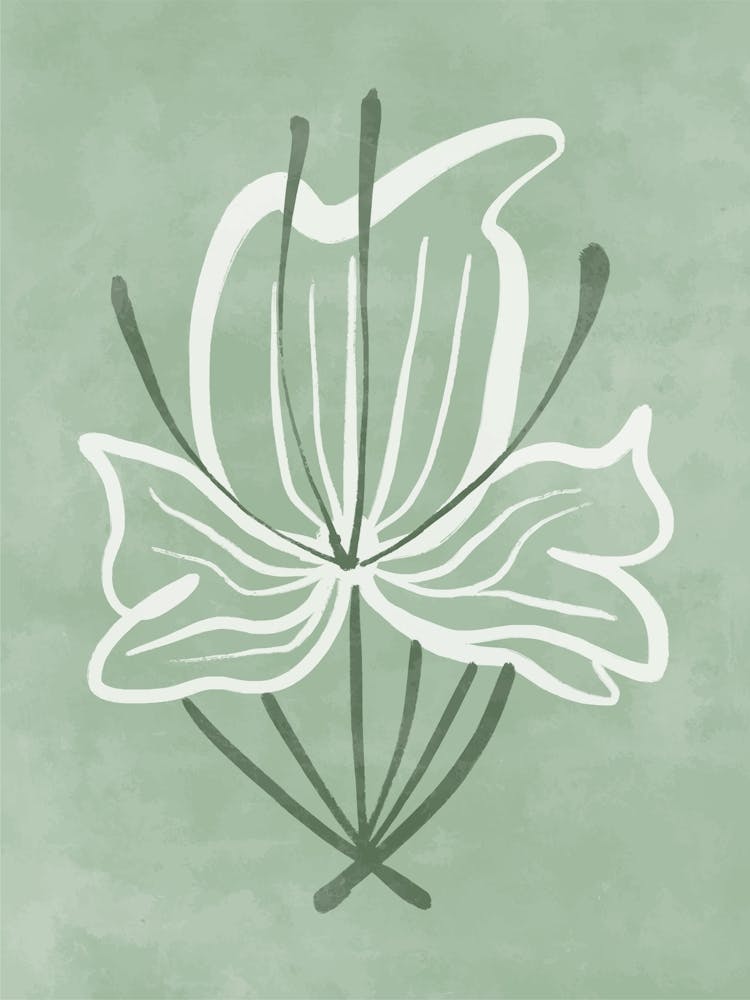 Lily Of The Valley 1