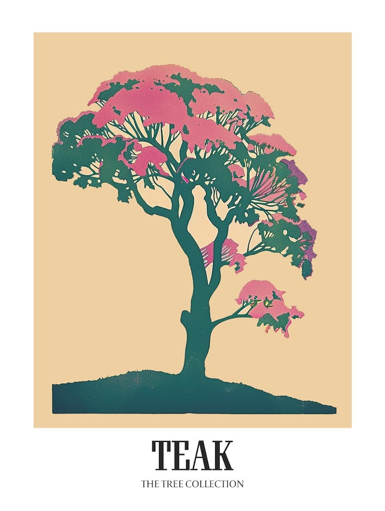 Teak Tree Colourful Illustration 1 Poster