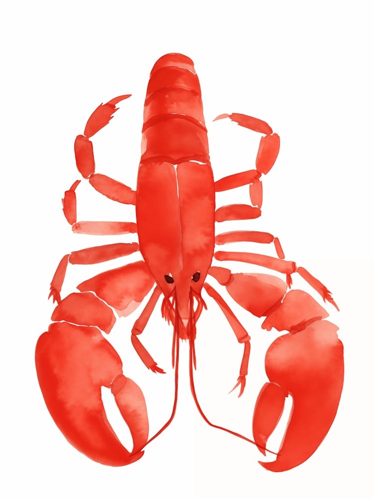 Watercolor Lobster