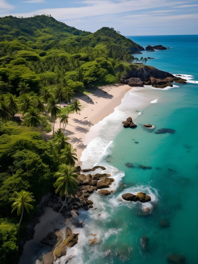 Aerial View Of A Tropical Beach