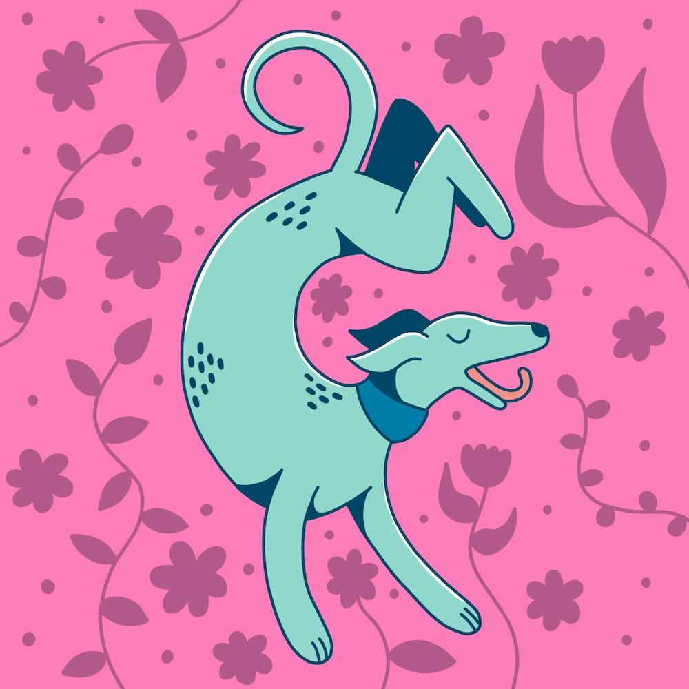 Lévrier Rose Whippet Greyhound sur Fond Floral