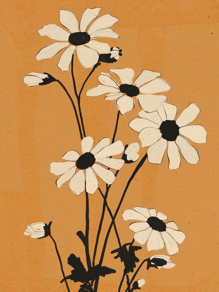 Daisy Flowers 7