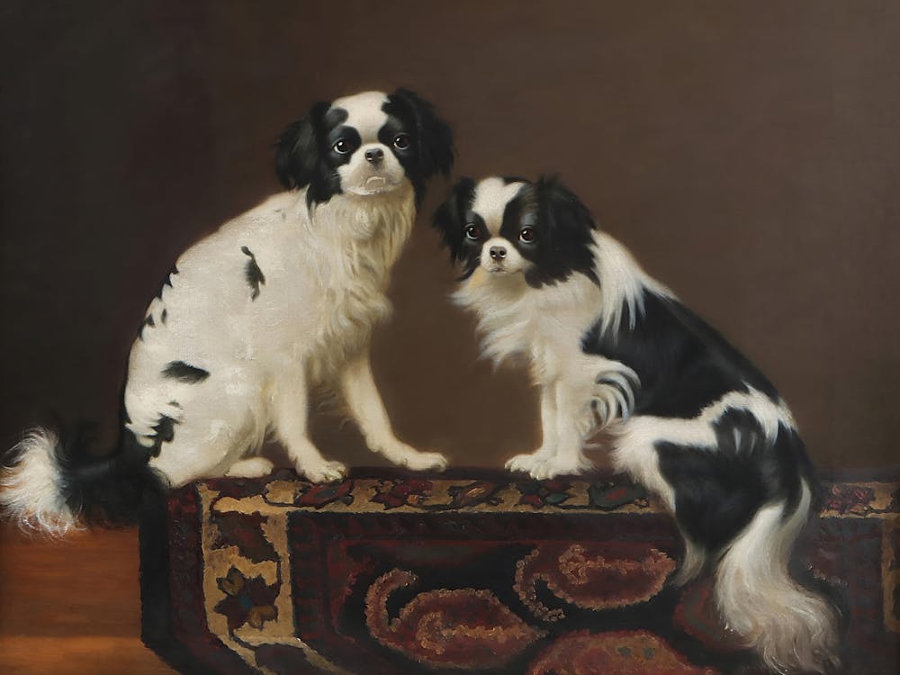 Japanese Chin Dog, Dark Moody Colors, Vintage Dog Art