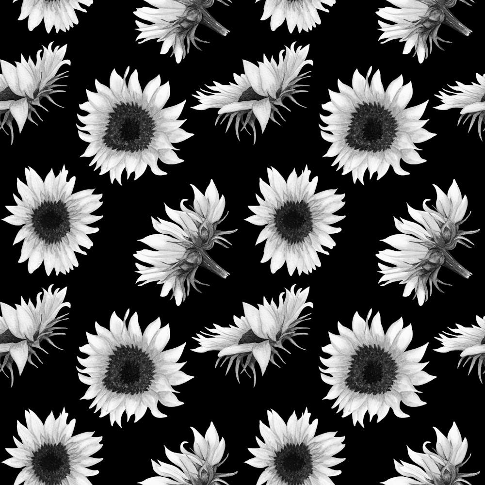 Sunflowers On A Black Background