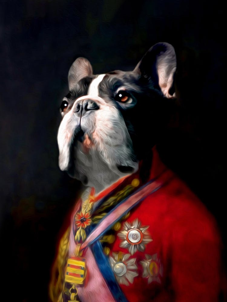 Junior The Singing Bulldog Pet Portraits